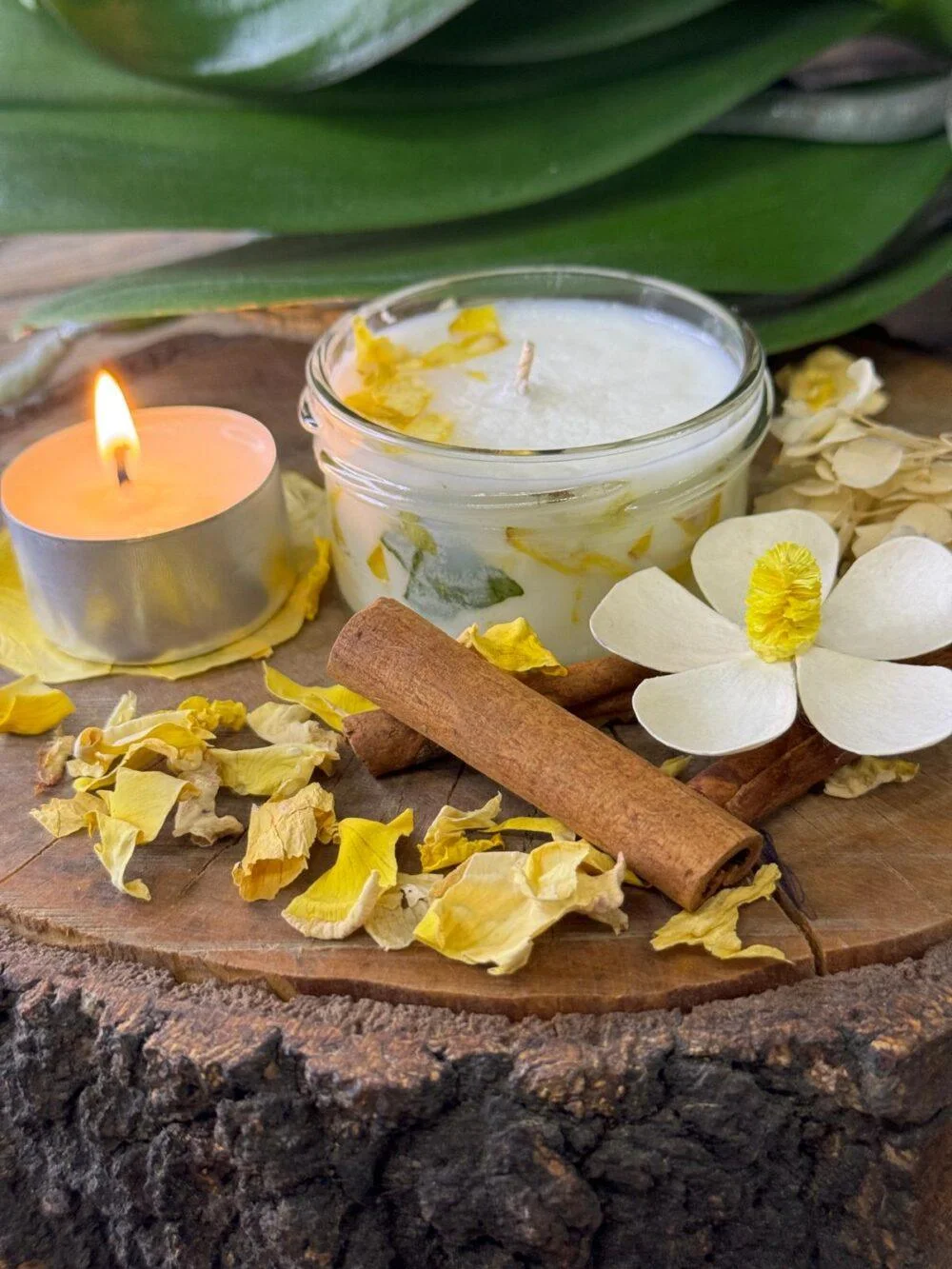 full_mal___vanilka-e1740724620969